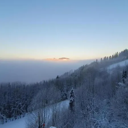 Im Sauerland Nahe Skigebiet Winterberg Apartman
