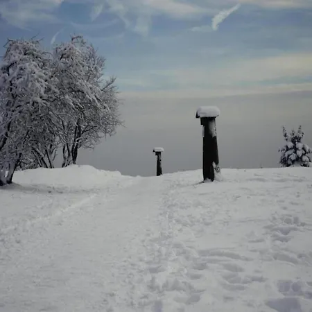 Apartman Im Sauerland Nahe Skigebiet Winterberg Elpe