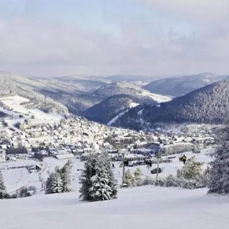 Apartman Im Sauerland Nahe Skigebiet Winterberg Elpe