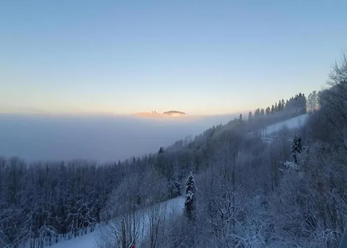 Im Sauerland Nahe Skigebiet Winterberg 公寓