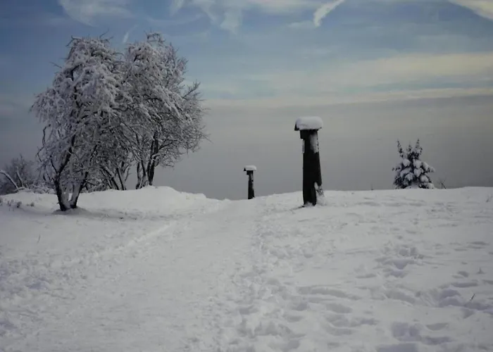 公寓 Im Sauerland Nahe Skigebiet Winterberg Elpe