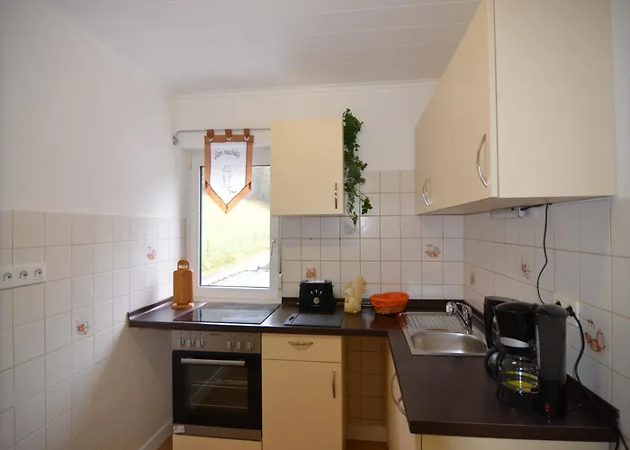 Im Sauerland Nahe Skigebiet Winterberg 公寓