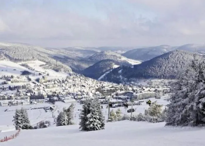 公寓 Im Sauerland Nahe Skigebiet Winterberg Elpe