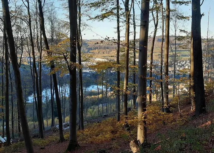 Im Sauerland Nahe Skigebiet Winterberg *