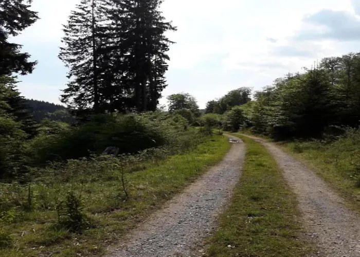 Im Sauerland Nahe Skigebiet Winterberg Elpe