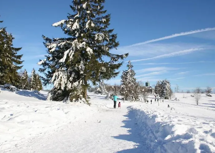 Im Sauerland Nahe Skigebiet Winterberg 公寓 *